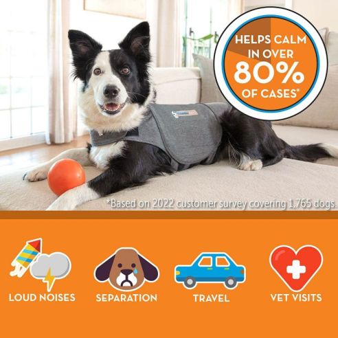 Calming Dog Vest - Anxiety Relief for Your Pet