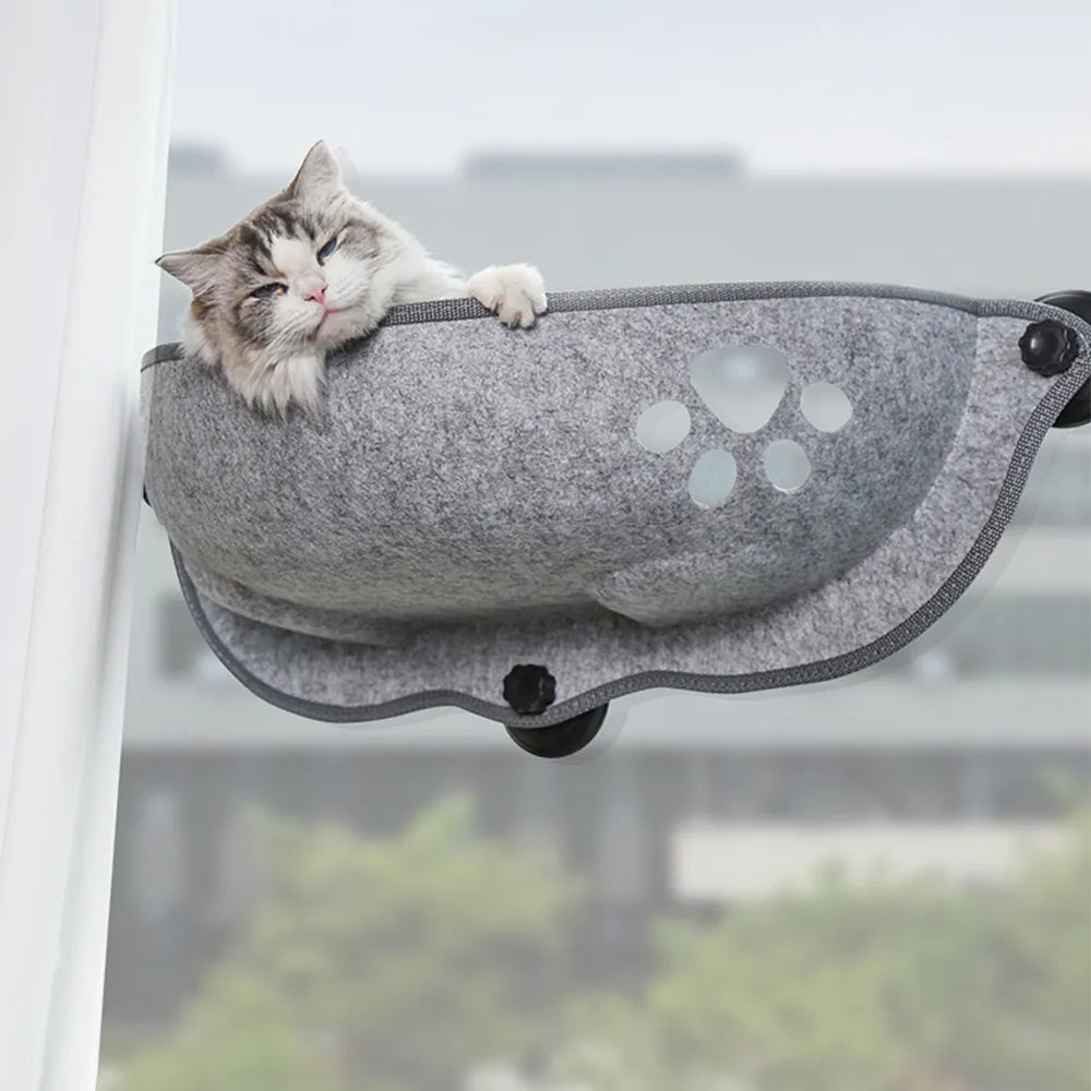 Cat Window Bed