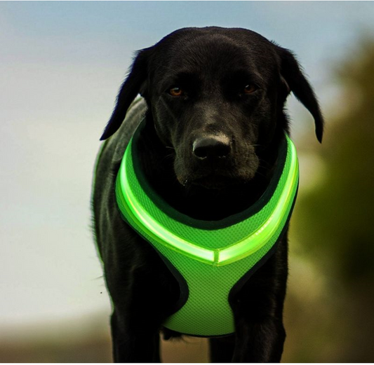 Adjustable Reflective Pet Full Harness